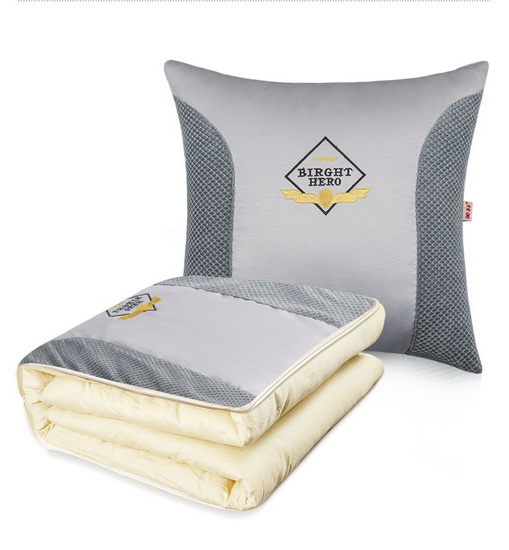 2 In 1 Blanket Cushion